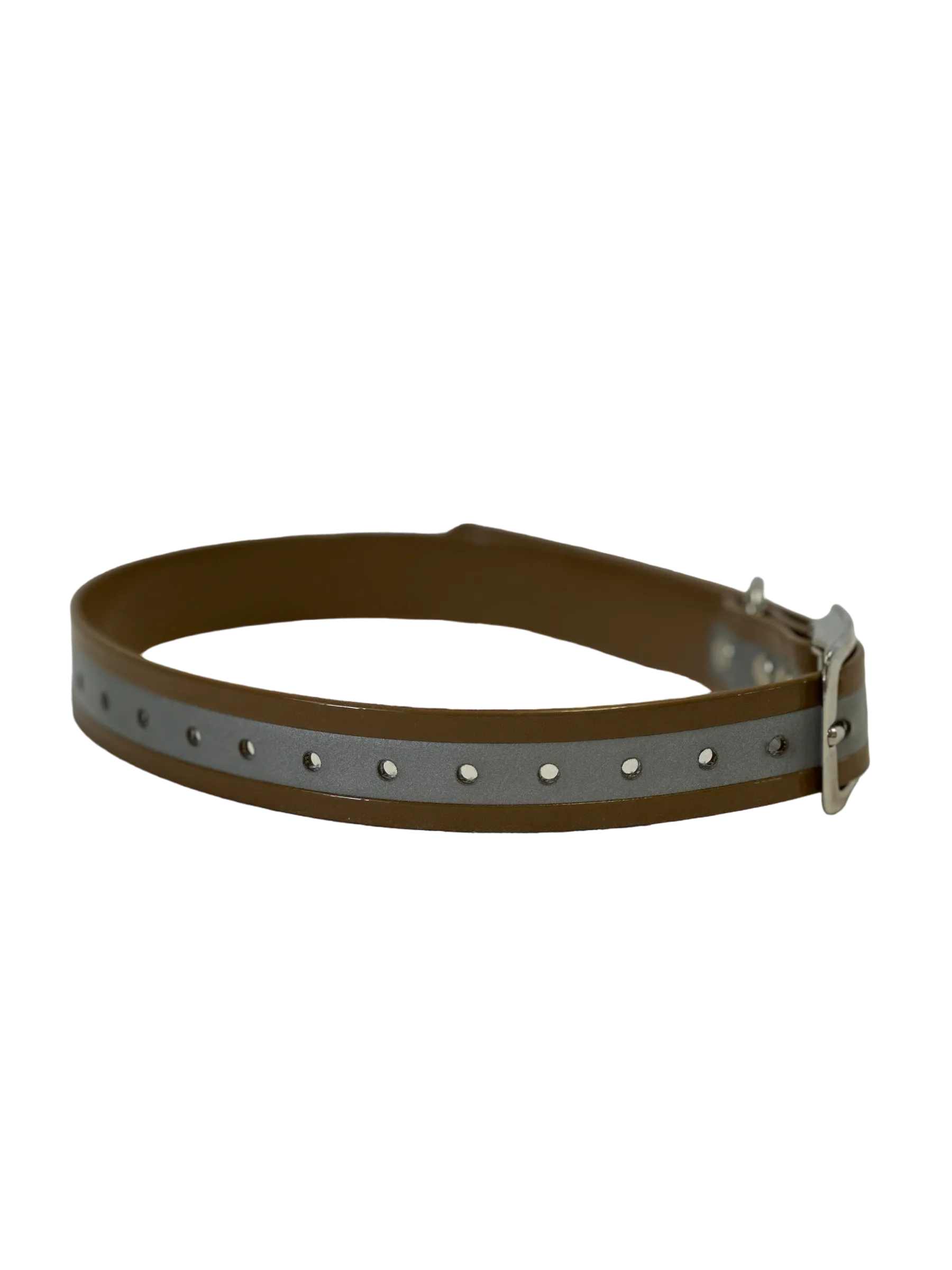 1''DayGlo Reflective Collar