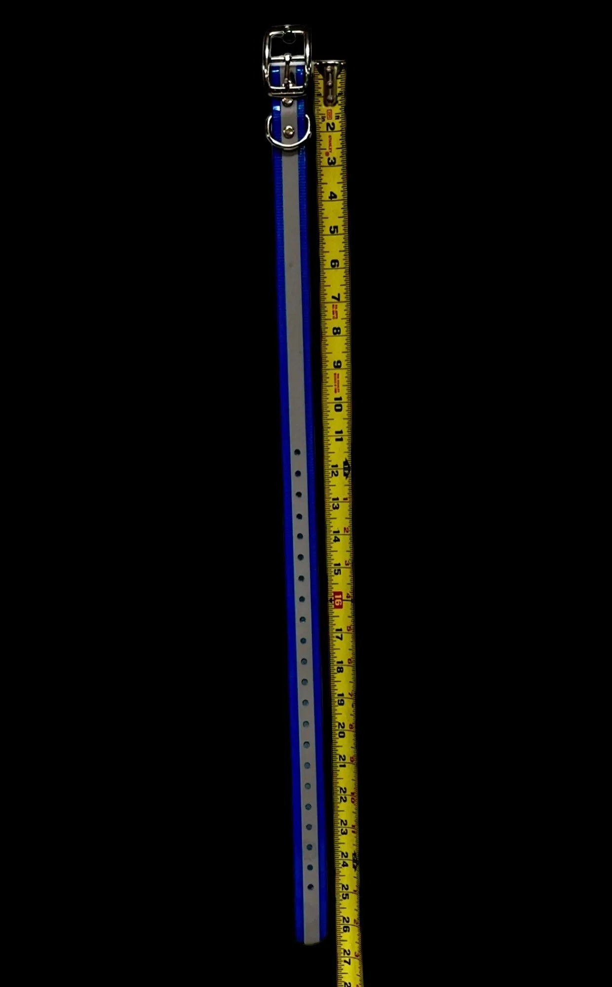 1''DayGlo Reflective Collar