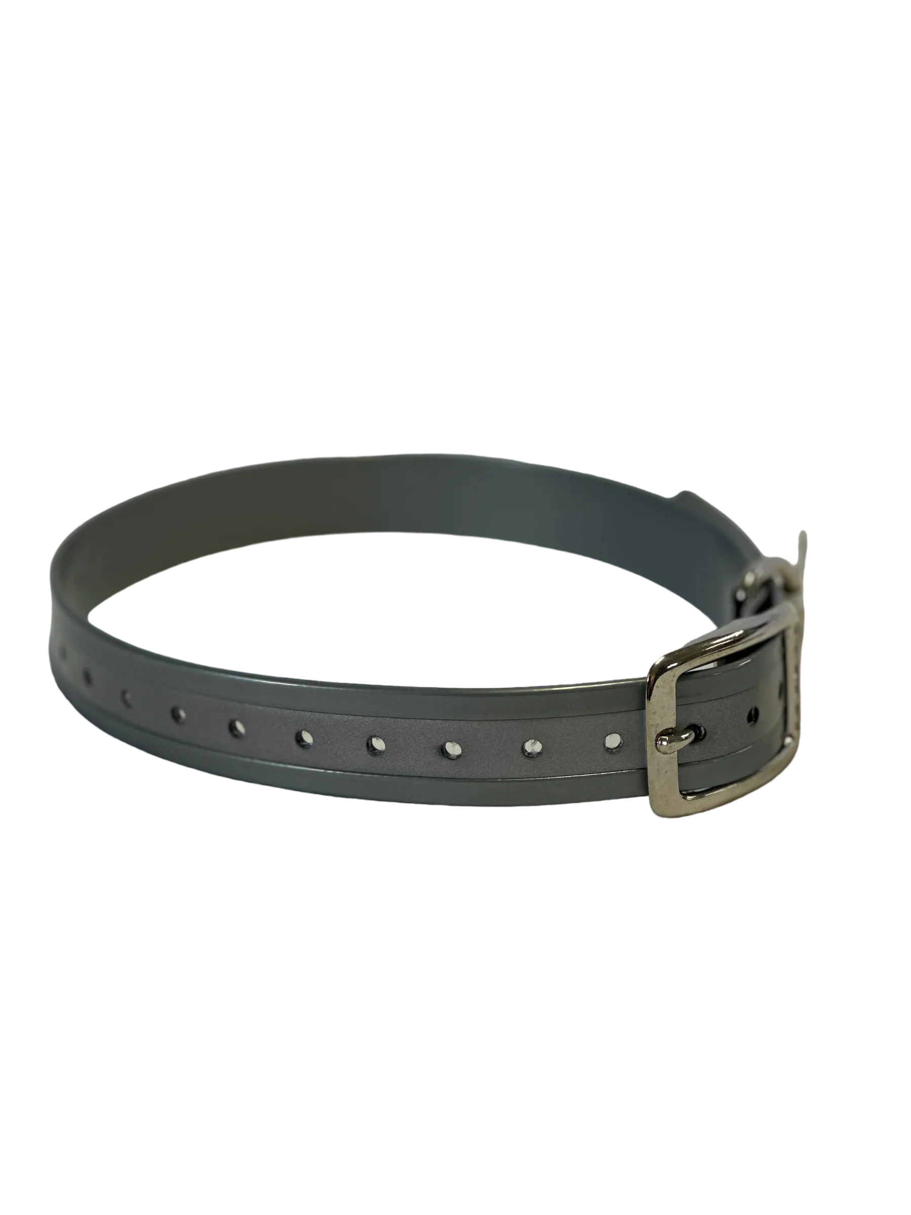 1''DayGlo Reflective Collar