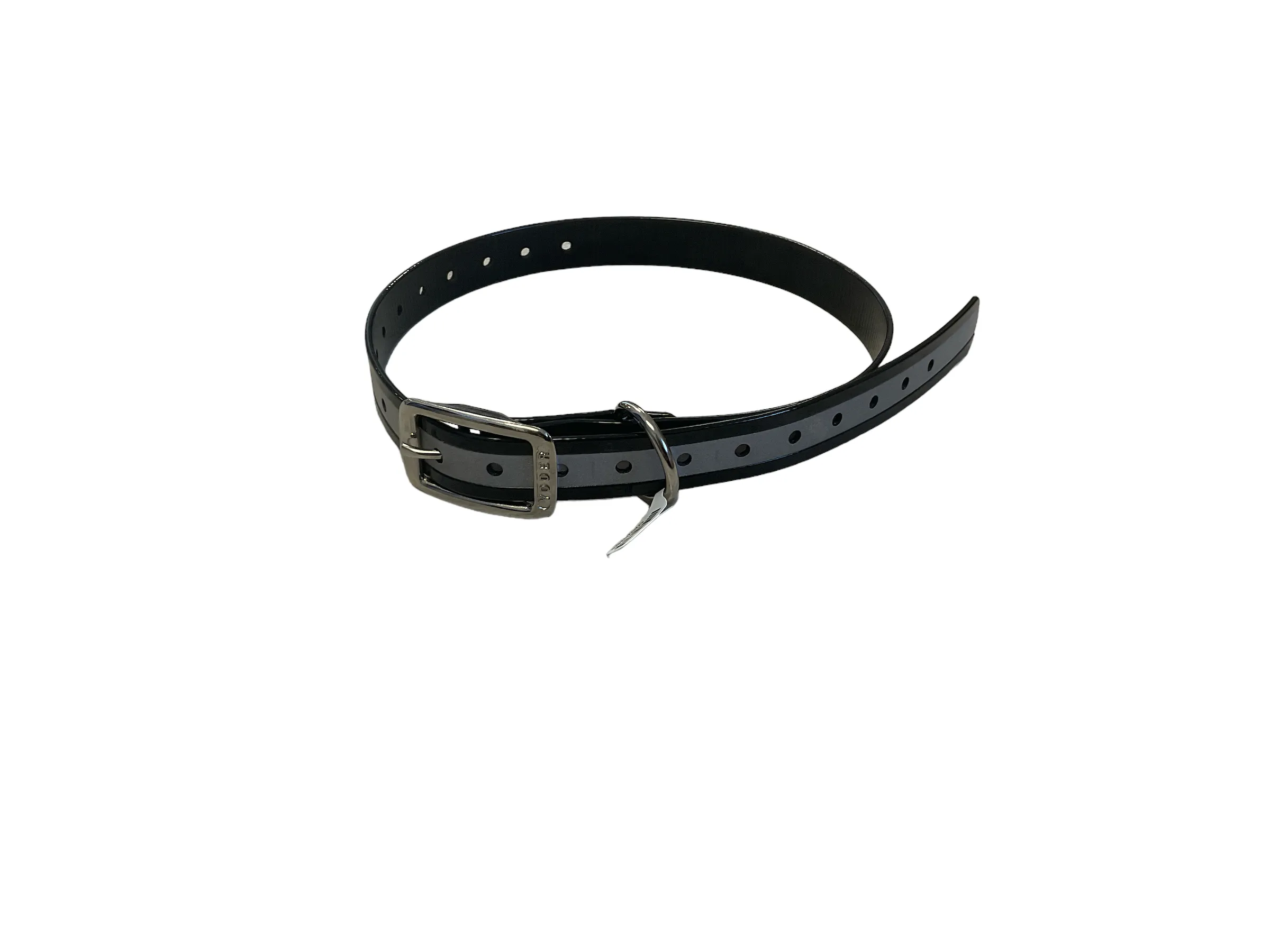 1''DayGlo Reflective Collar