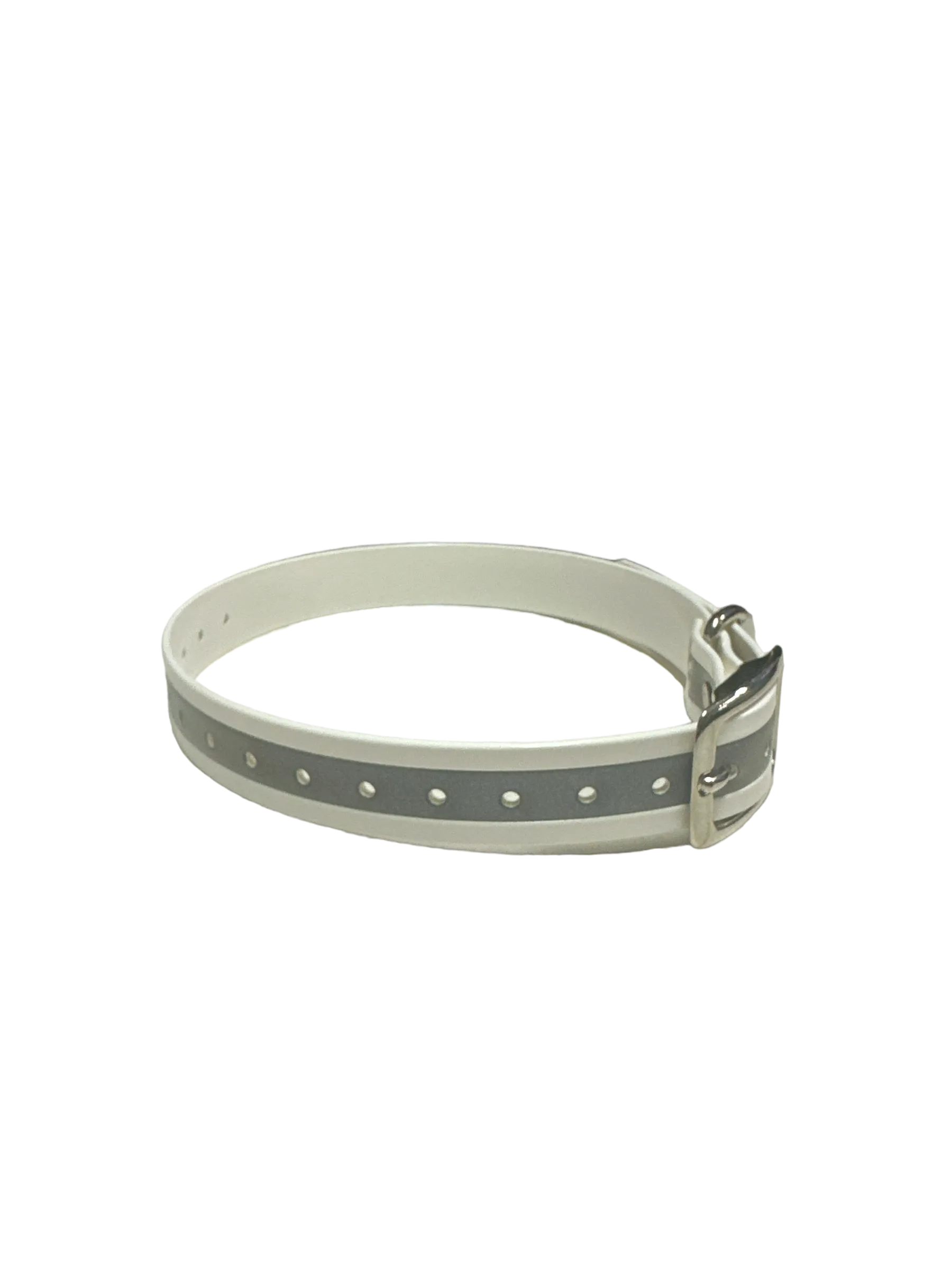 1''DayGlo Reflective Collar