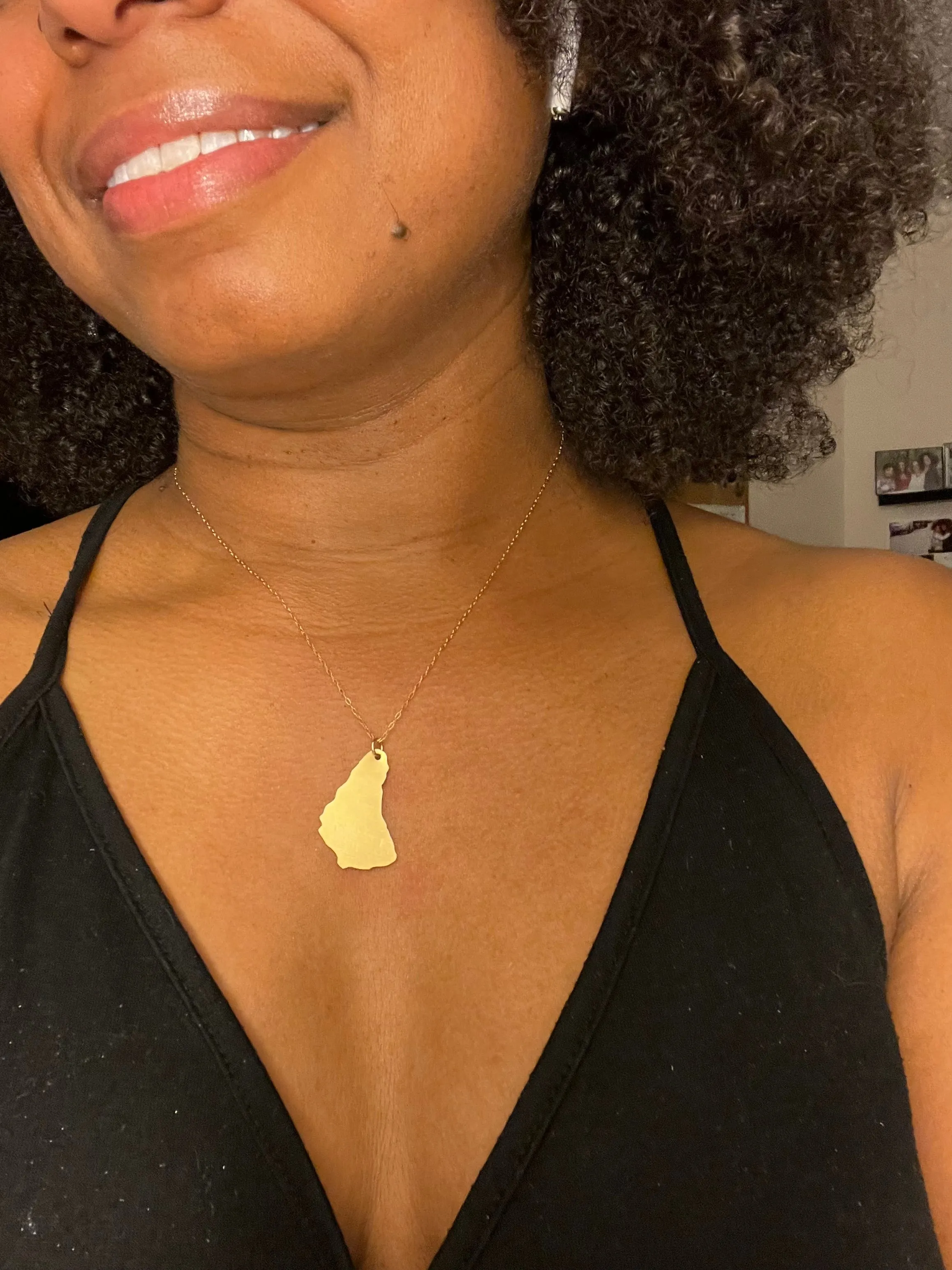 Barbados Island Plate Necklace - Brass Pendant - 14kt Gold-Filled Chain 18" Long