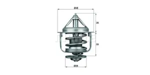 Behr-Mahle Thermostat 77 °C With Seal (Tx8777D)