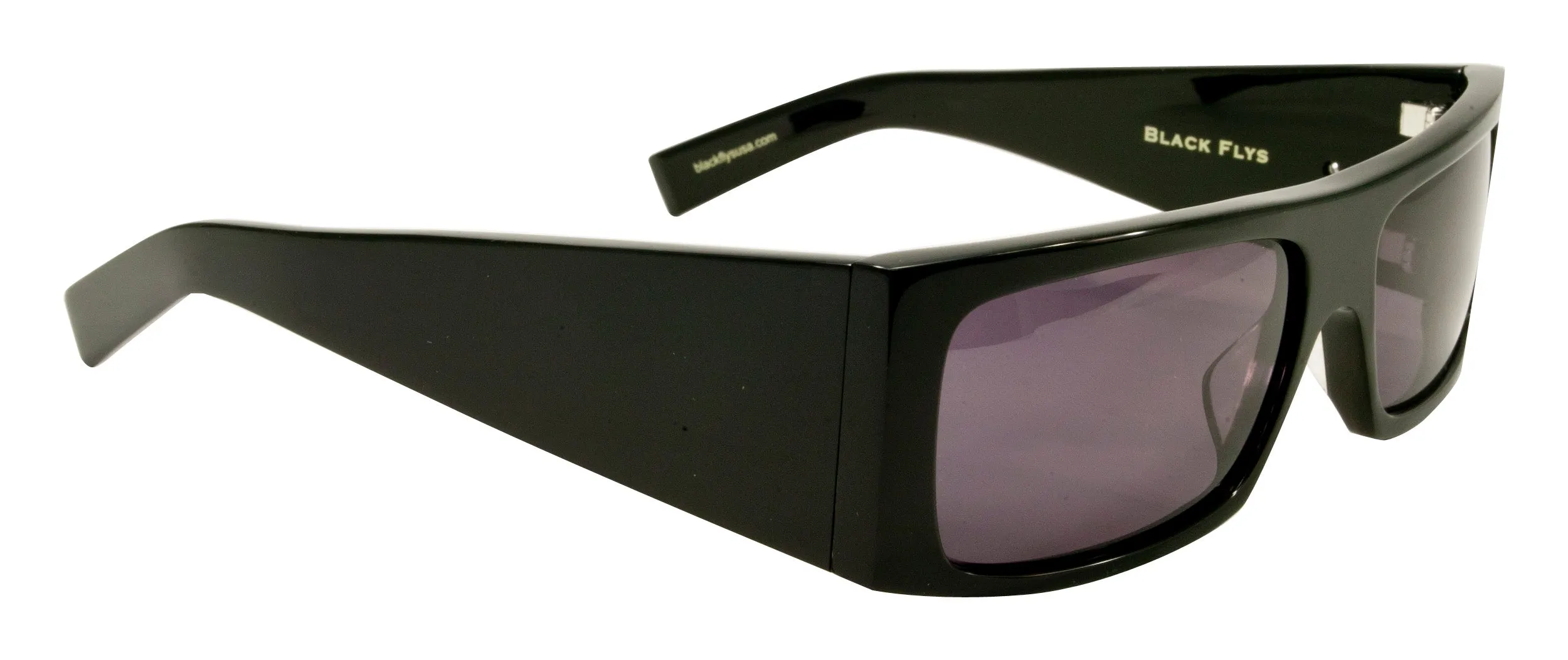 BLACK FLYS FLY DETECTOR SUNGLASSES SHINY BLACK SMOKE LENS