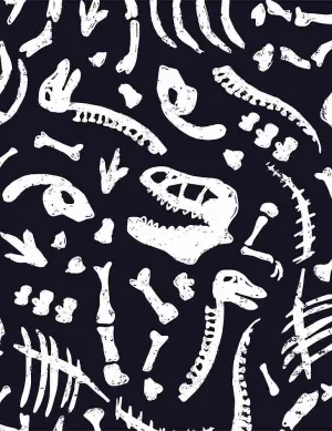 Dino Trek Black - (2)
