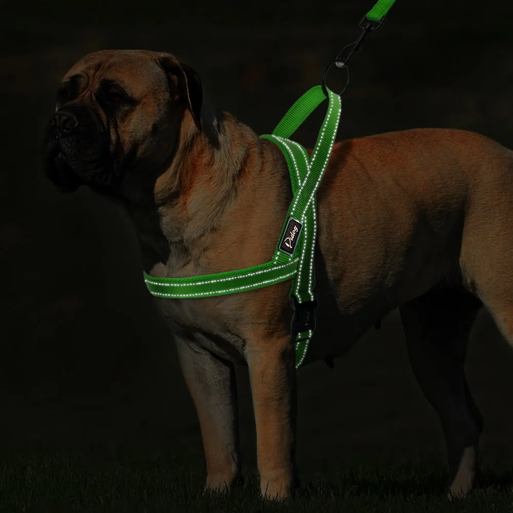 Dog Harness With Reflective Stitching
