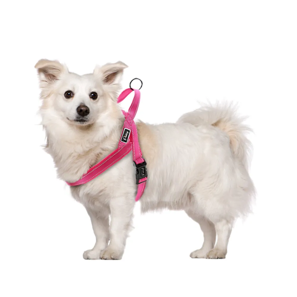 Dog Harness With Reflective Stitching