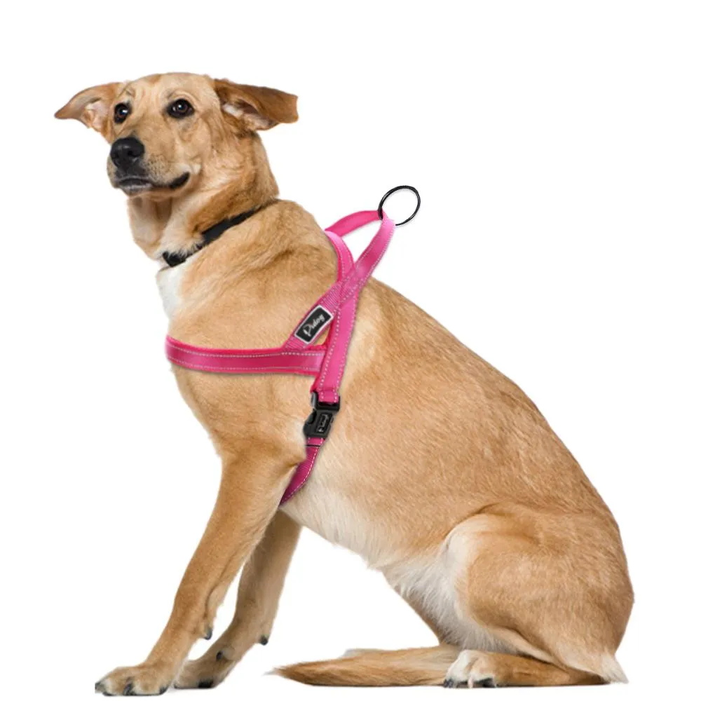 Dog Harness With Reflective Stitching