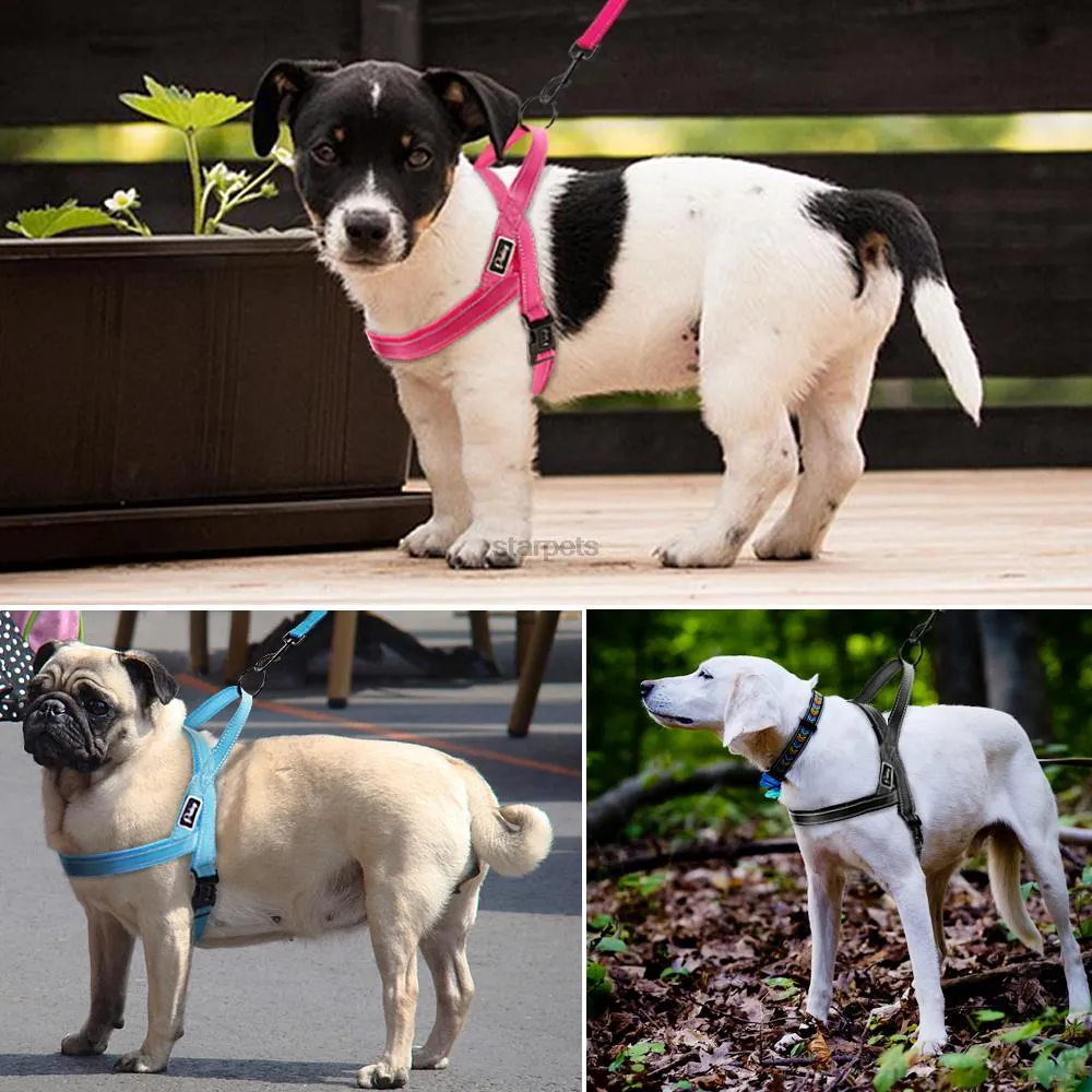 Dog Harness With Reflective Stitching