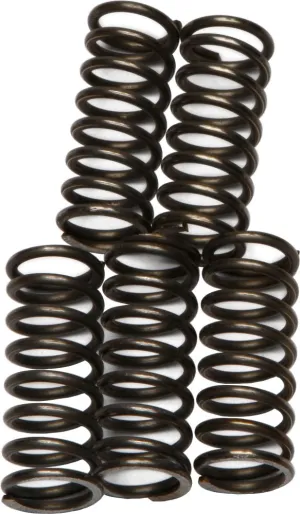 EBC CSK66 Redline Clutch Springs