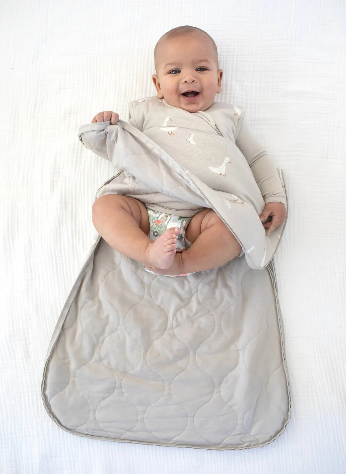 Goose Sleep Bag Duvet 1.0