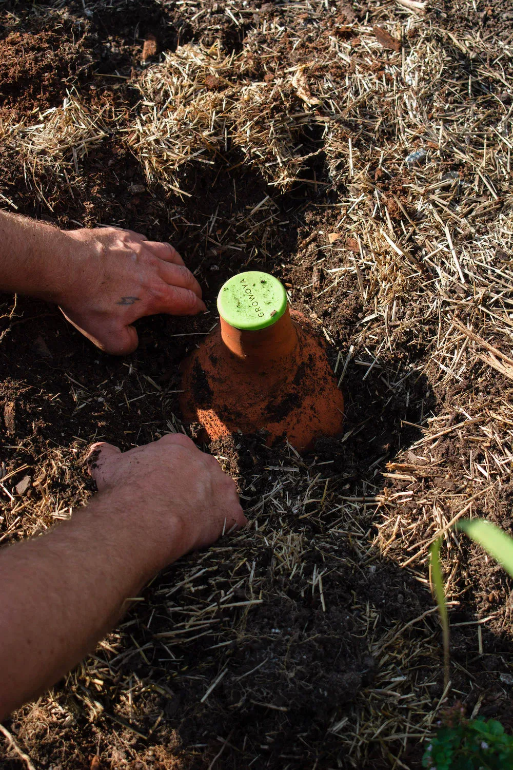 Grow Oya In-Garden Watering Pot