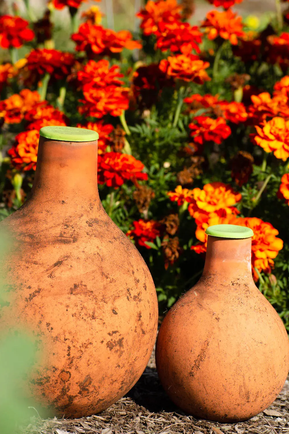 Grow Oya In-Garden Watering Pot