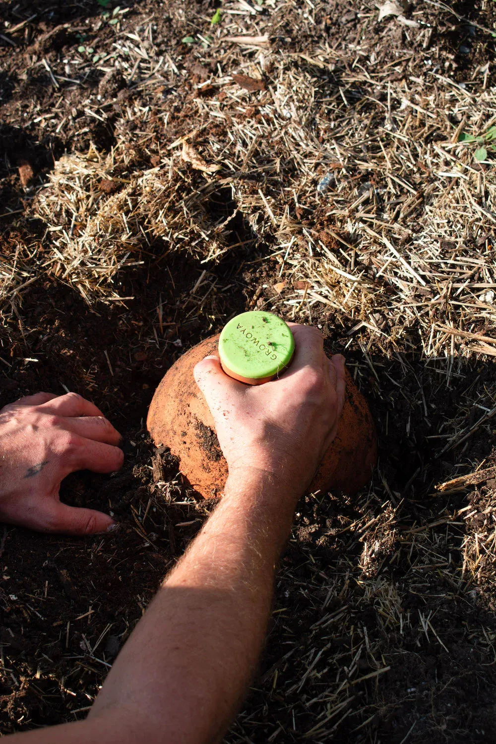 Grow Oya In-Garden Watering Pot