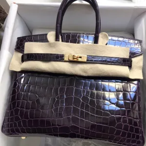 Hermès Birkin 25 Aubergine Crocodile Niloticus Lisse Gold Hardware GHW