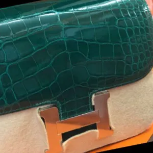 Hermès Constance 24 Vert Emeraude Alligator Mississippi Lisse Palladium Hardware PHW