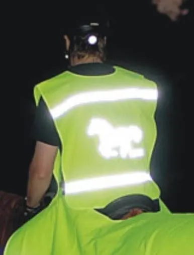 HKM Fluorescent Bib Childrenuniversal Size