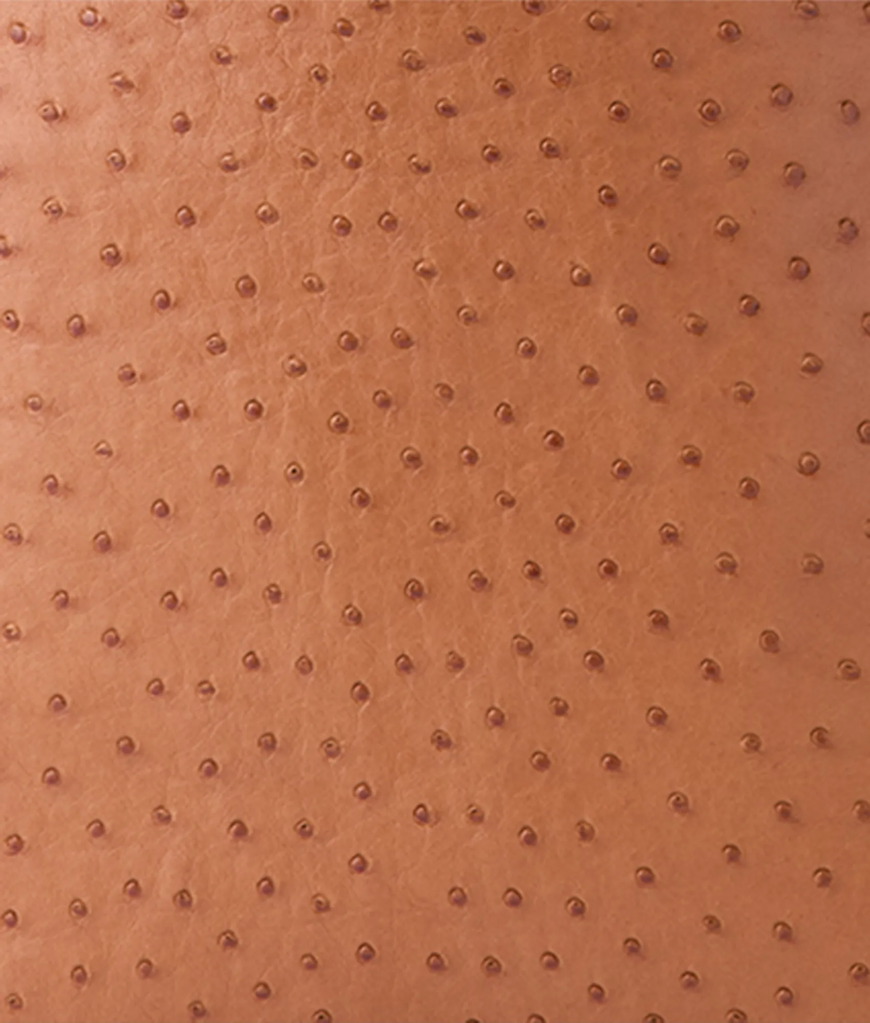 Large Lola Exotic Shopper :: Rum Tan