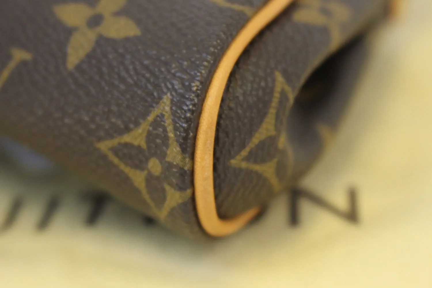 LOUIS VUITTON Monogram Canvas Eva Clutch Bag