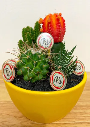 Presidente De Paz Acrylic Pin