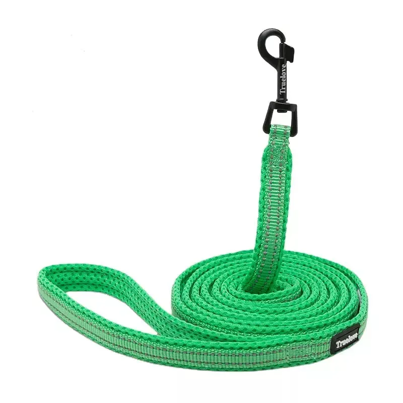 Puppy Leads