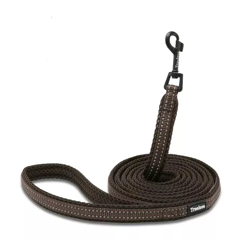 Puppy Leads