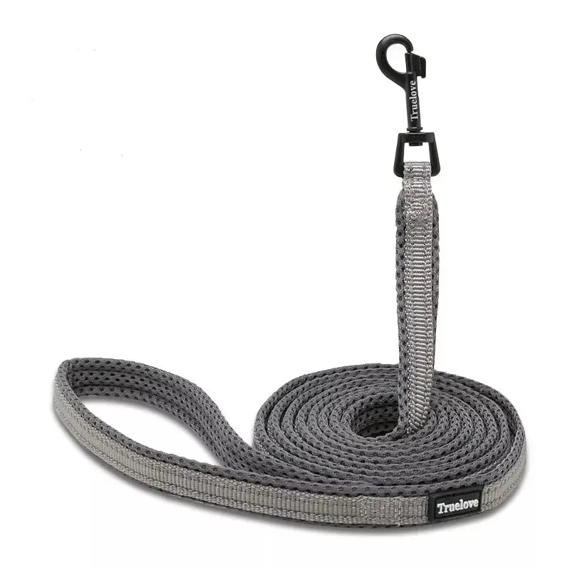 Puppy Leads