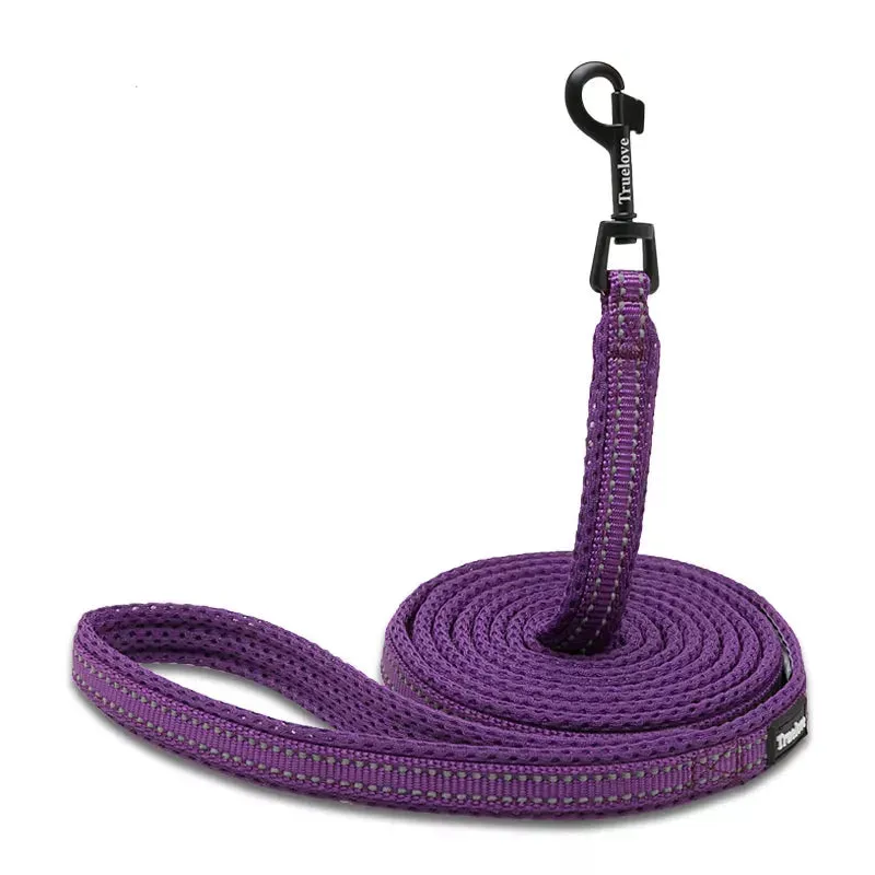 Puppy Leads