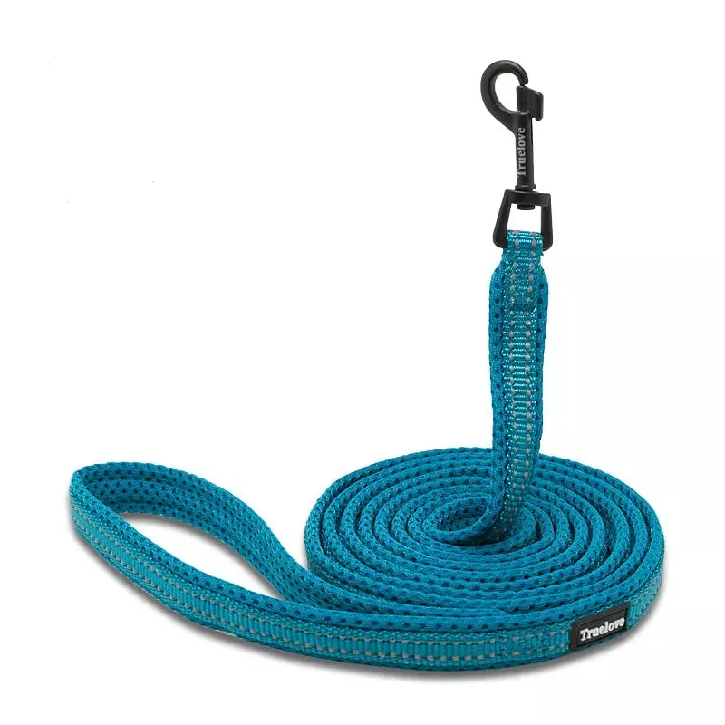 Puppy Leads