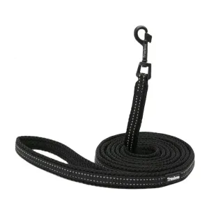 Puppy Leads