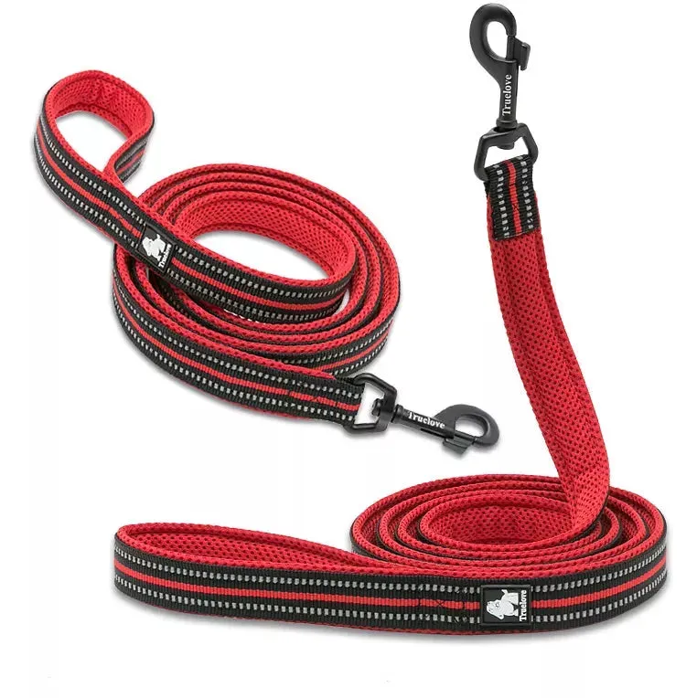 Puppy Leads