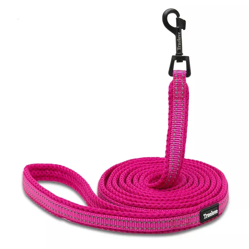 Puppy Leads