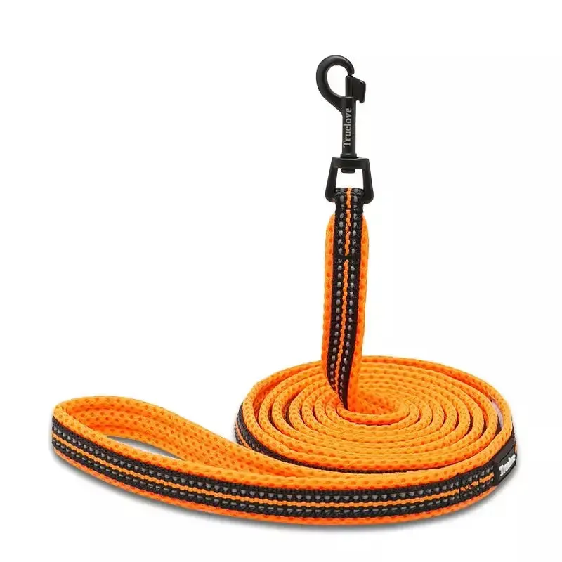 Puppy Leads