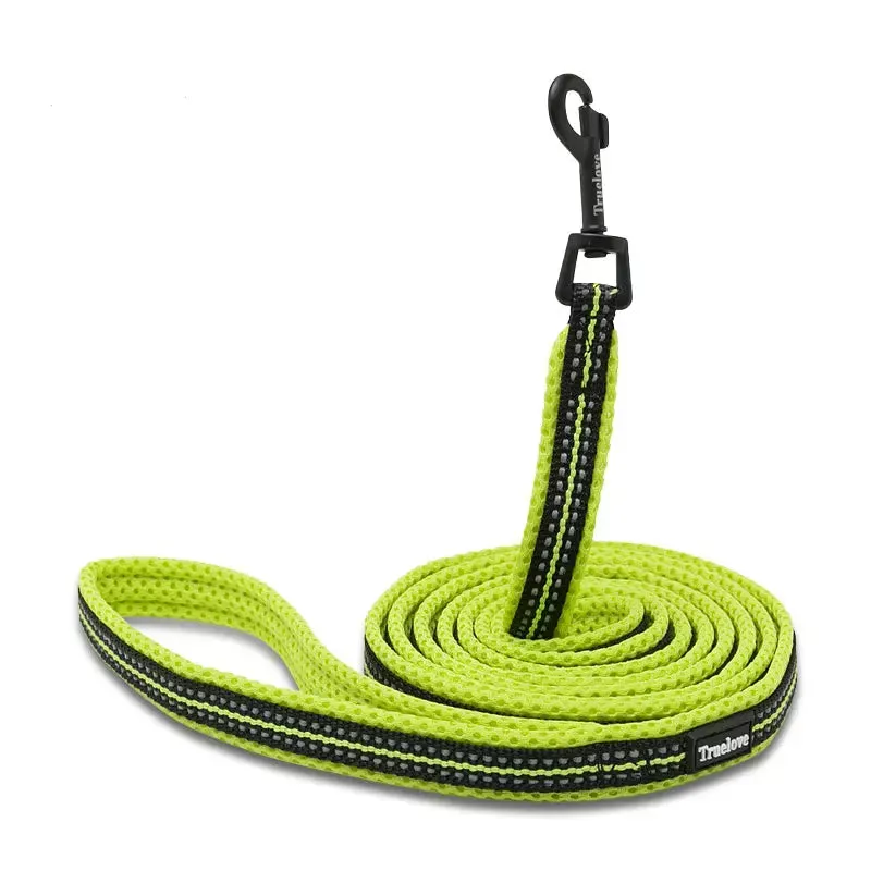 Puppy Leads