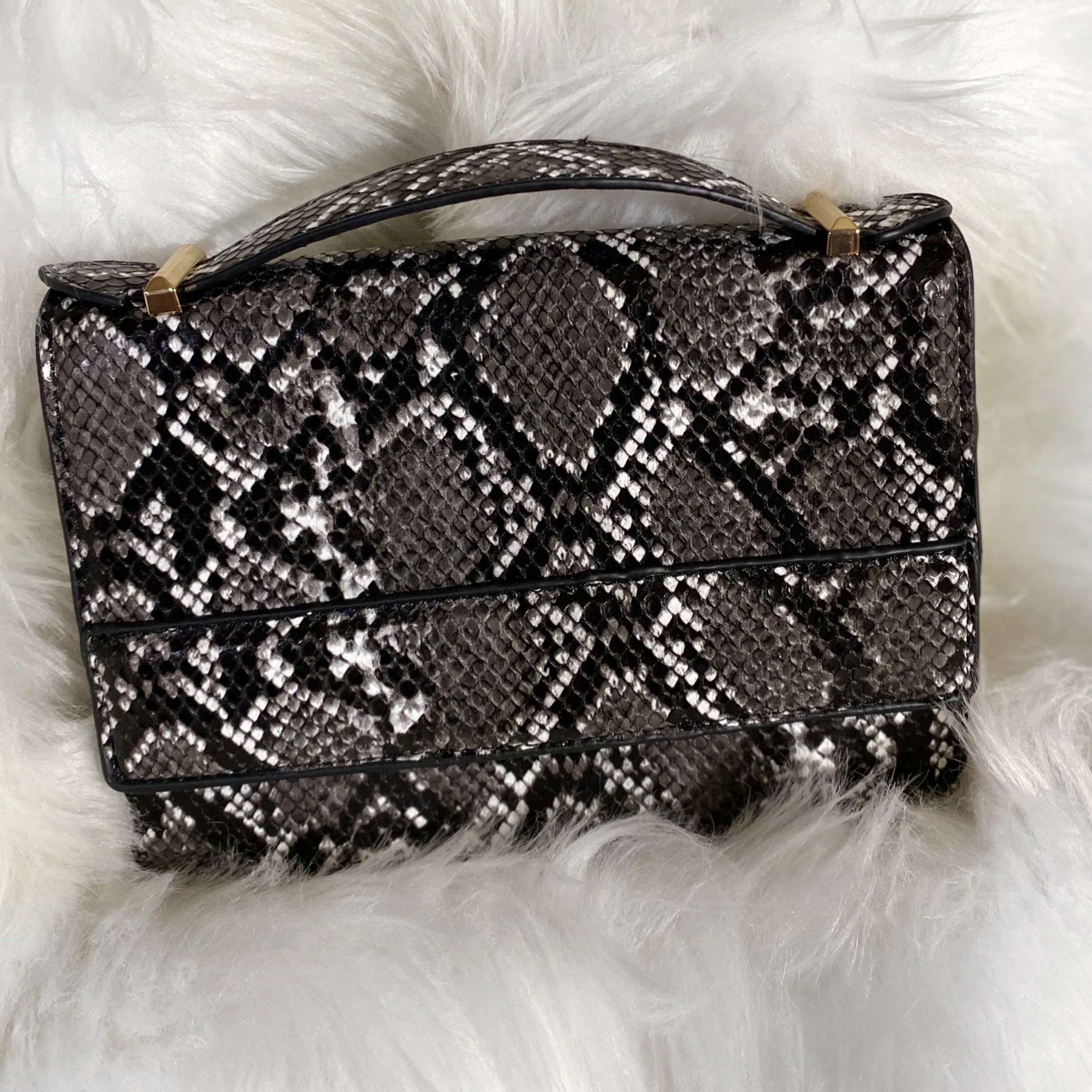 Snake Print Clutch
