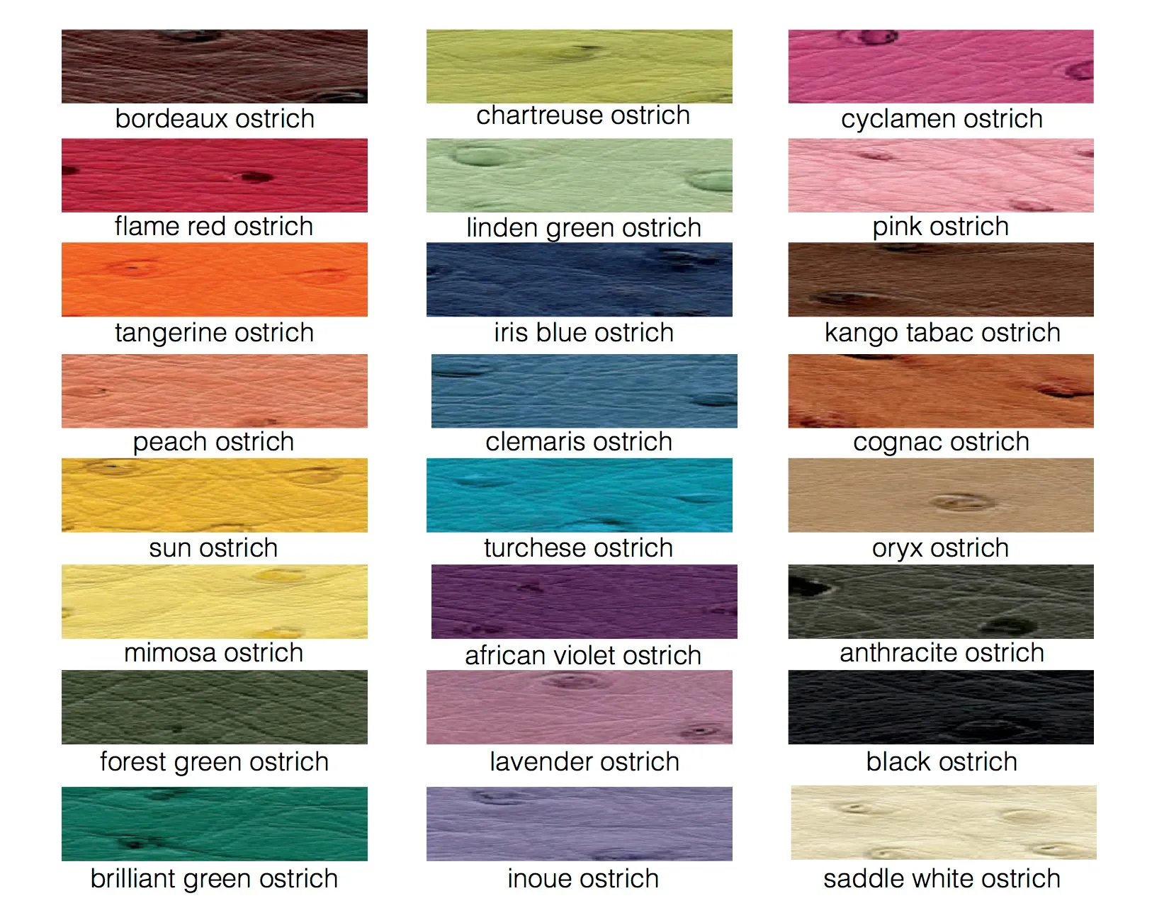 TANA - ASSORTED COLORS