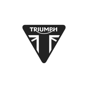 Triumph Clutch Lever – T2043870
