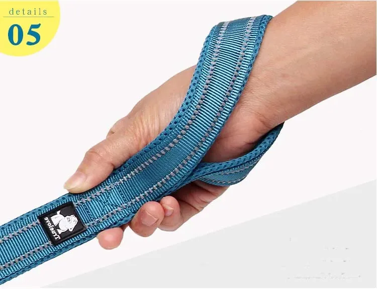 TrueLove Mesh and Reflective Leash TLL2111