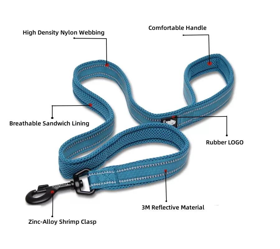 TrueLove Mesh and Reflective Leash TLL2111