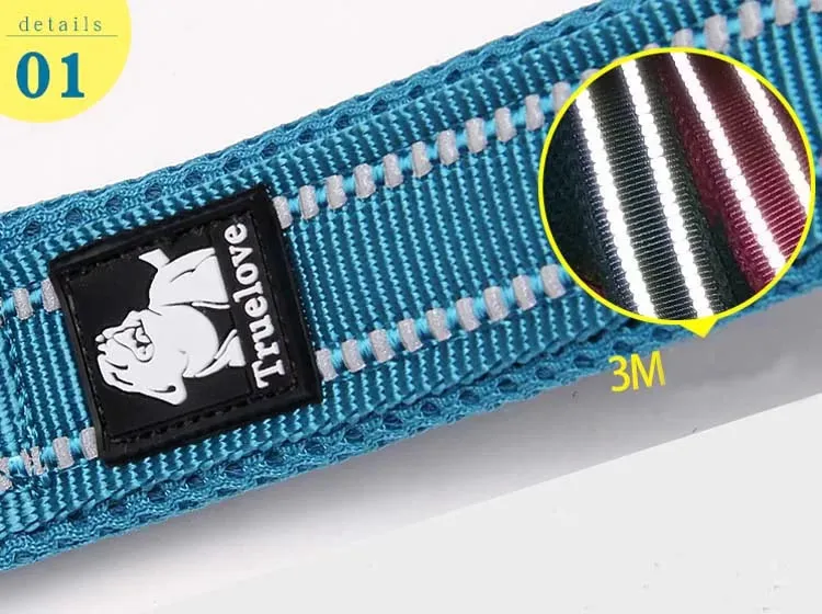 TrueLove Mesh and Reflective Leash TLL2111