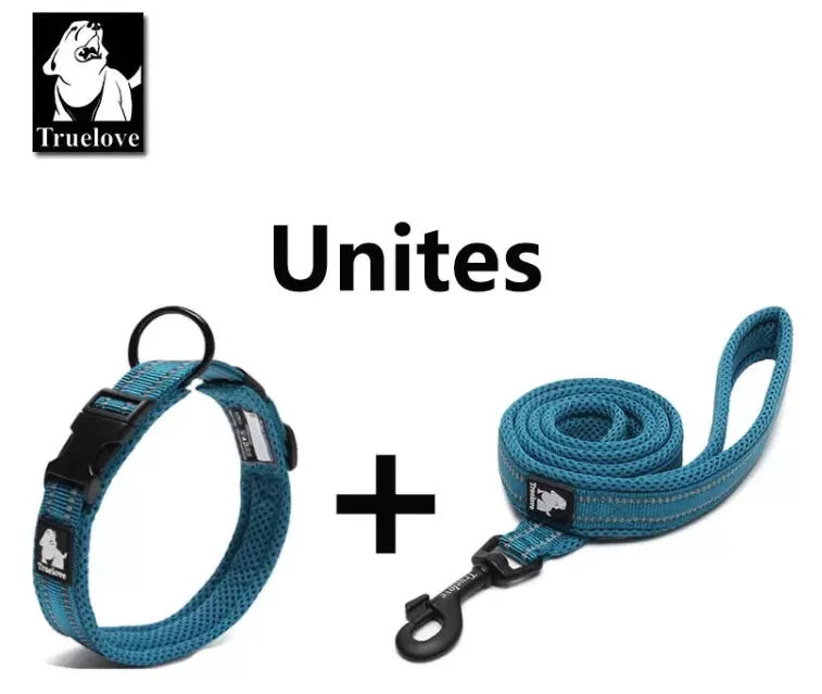 TrueLove Mesh and Reflective Leash TLL2111