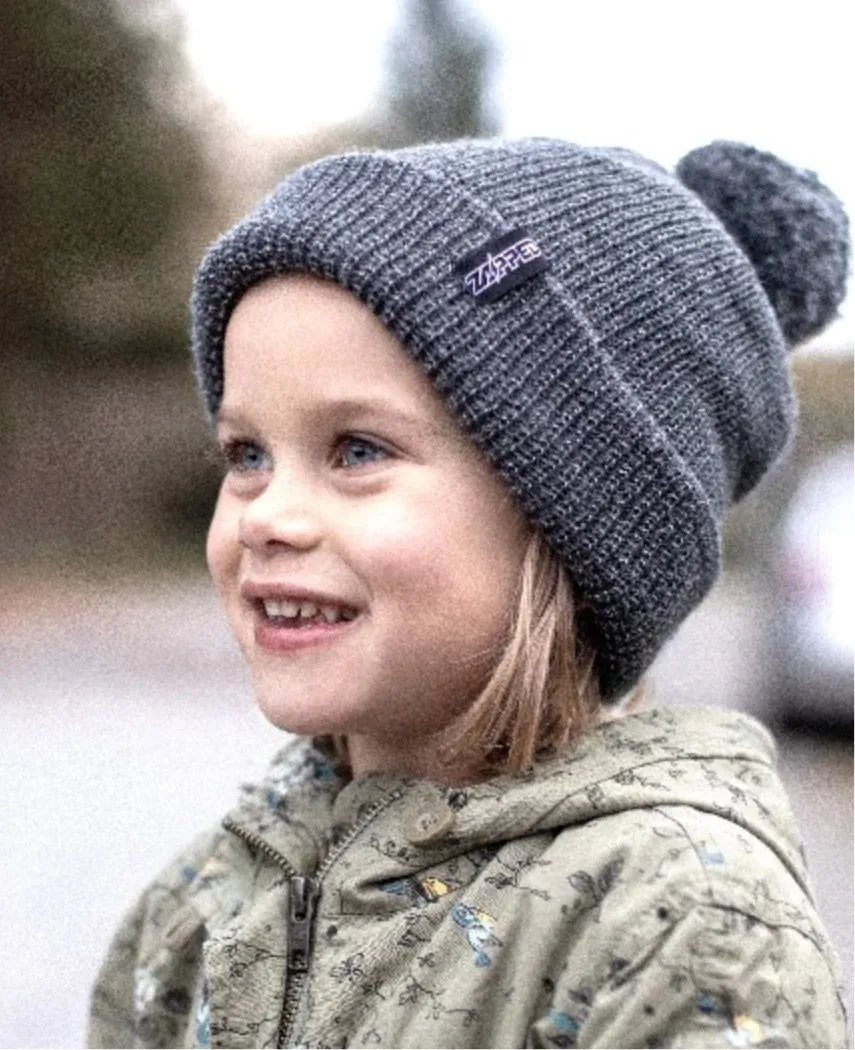 Zapped Outfitters Reflective Knit Pom Beanie : One Size fits most